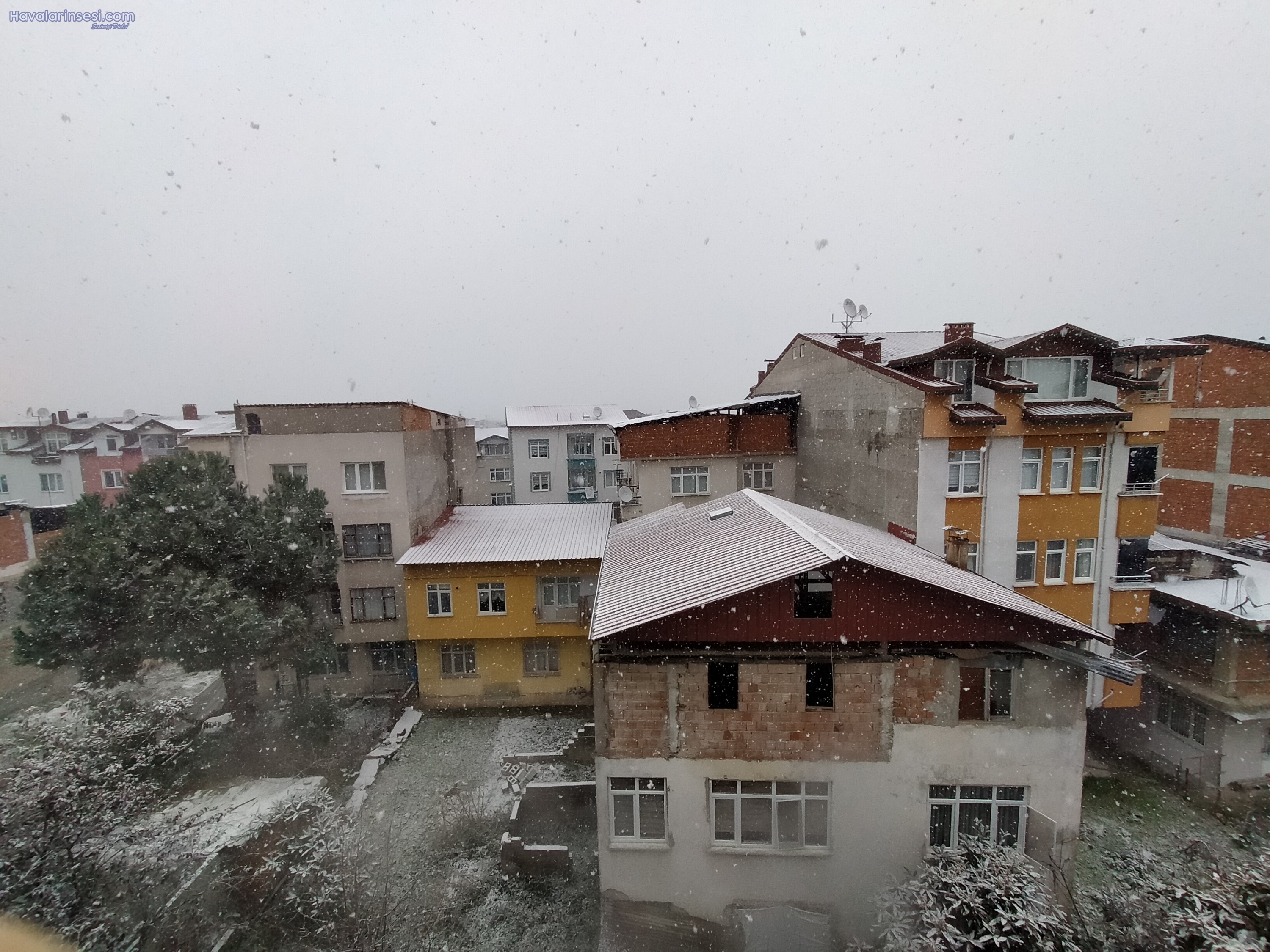 Ordu Altınordu