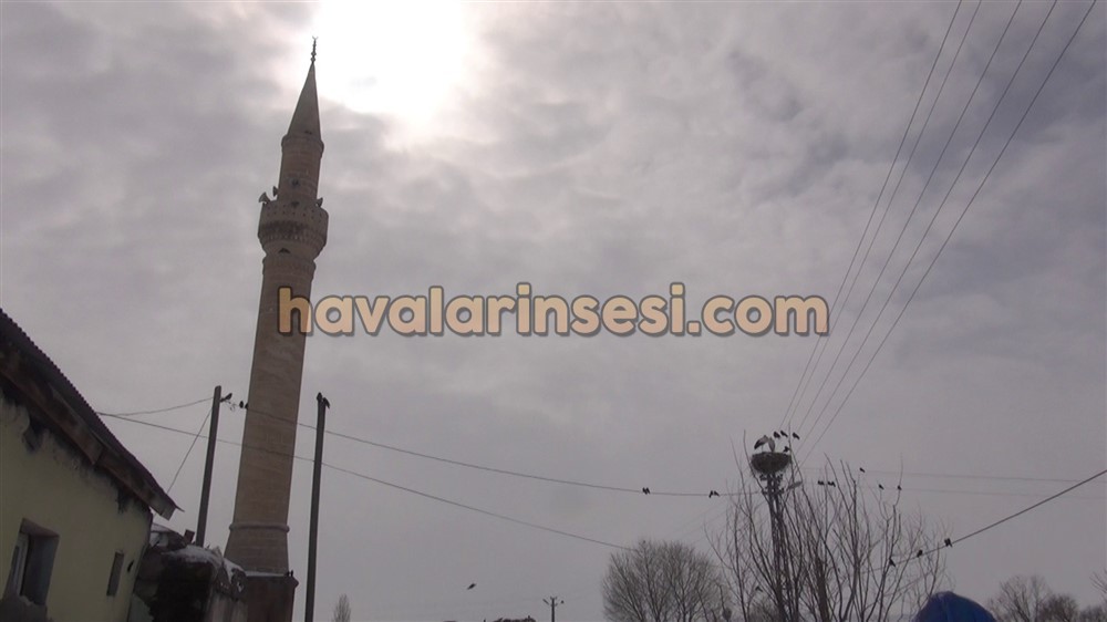 'Baharın müjdeleyicisi' olarak adlandırılan leylekler, Kars'a erken gelerek, kar altındaki yuvalarına yerleşti.