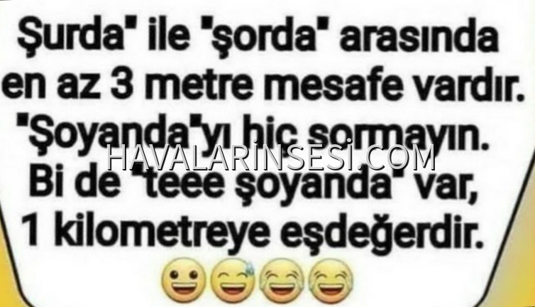 Dil