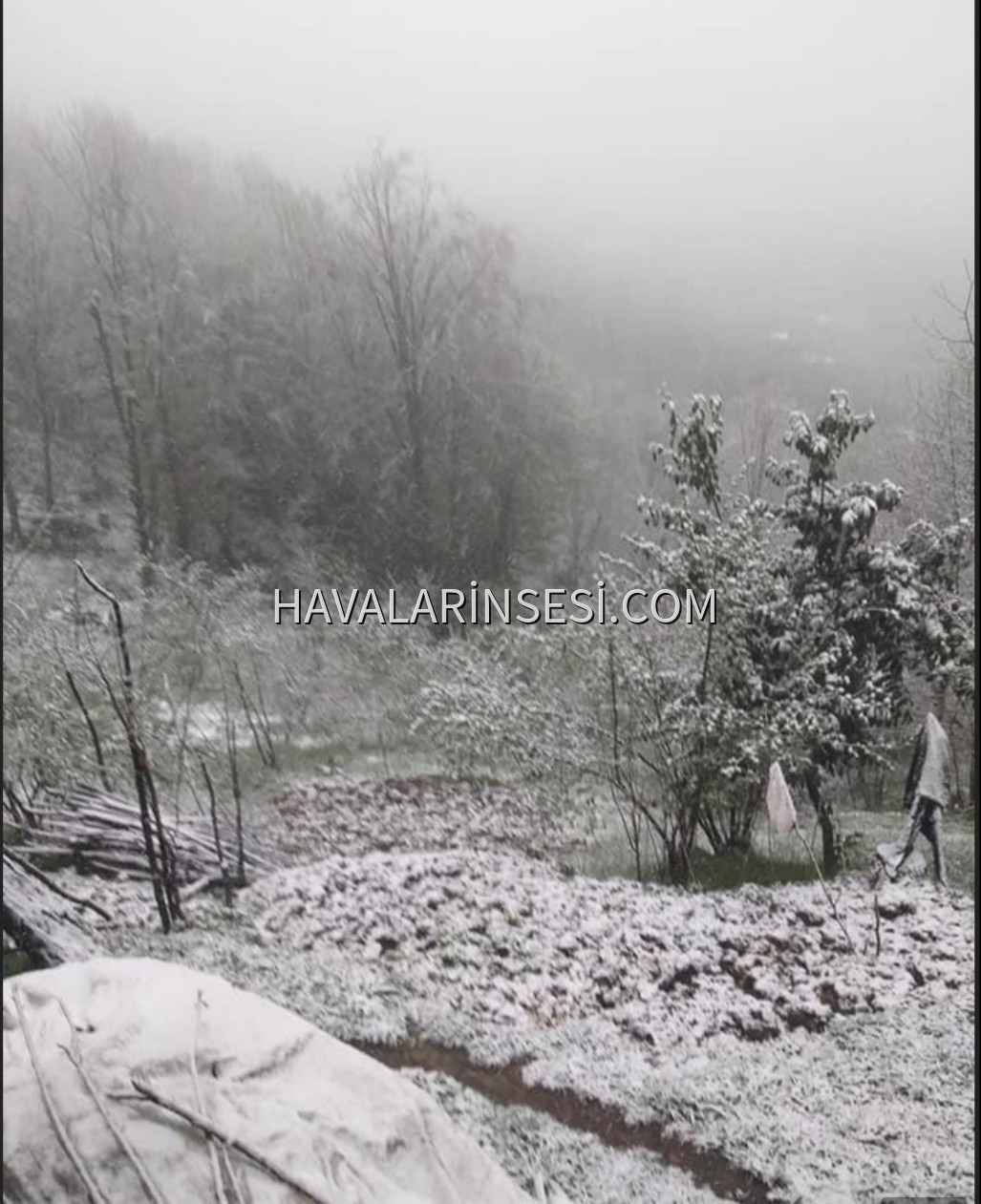 Zonguldak yükseklerinde kar